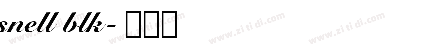 snell blk字体转换